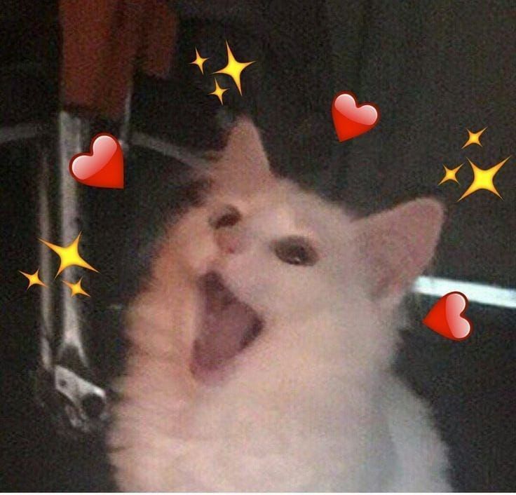 Screaming cat with hearts